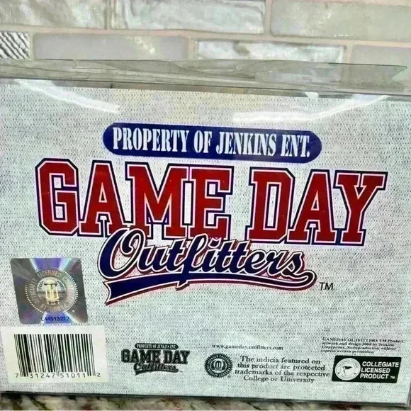 Wisconsin Badgers Piggy Bank - Picture 4 of 6